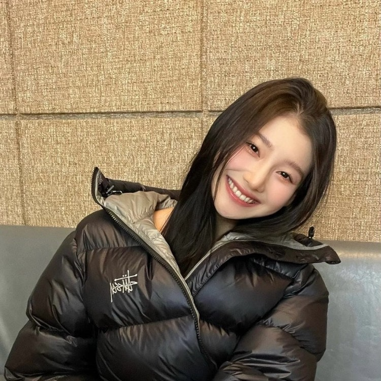 스투시-상의-국내배송 마이크로 립스타 푸퍼 다운파카