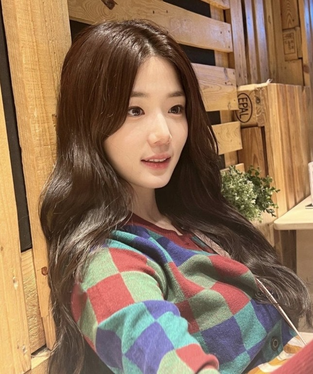 비비안웨스트우드-상의-국내배송 웨스트우드 멀티 컬러 체크 가디건