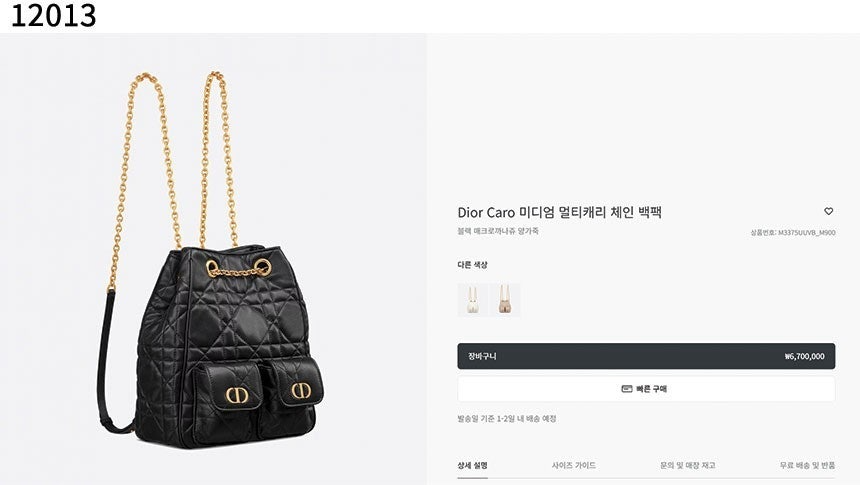디올-가방-국내배송 Caro 미디엄 멀티캐리 체인 백팩