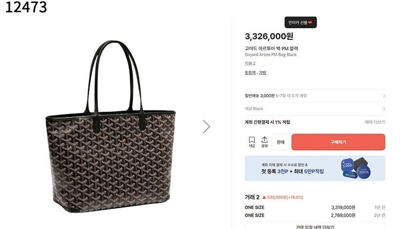 고야드-가방-국내배송 생루이백 pm