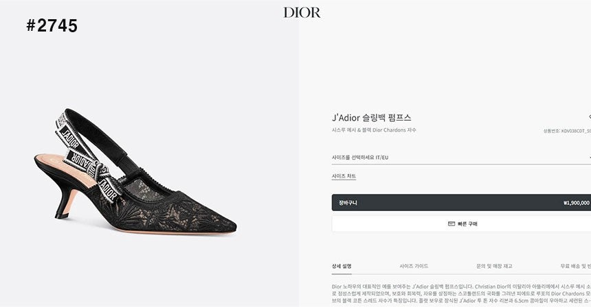 디올-신발-국내배송 슬링백 시스루 메시 펌프스 힐